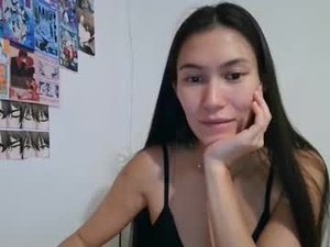 Screenshot from jenariva webcams