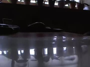 Screenshot from jensxl100441 webcams