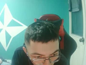 Screenshot from jhackams webcams