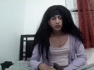 Screenshot from jlesvgn webcams