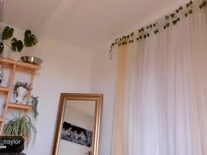 Screenshot from johapython webcams