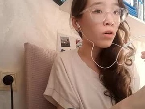 Screenshot from johnmerli webcams