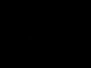 Screenshot from jpav219 webcams
