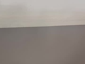 Screenshot from jt_meyer webcams