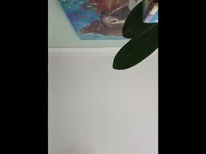 Screenshot from karnathra webcams