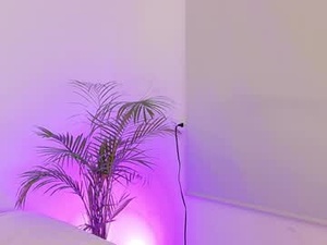 Screenshot from karolpetite webcams