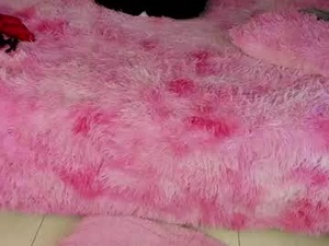 Screenshot from katalella_franka webcams