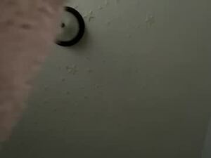 Screenshot from ken1doll webcams