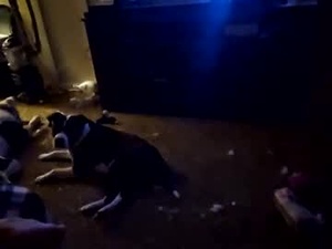 Screenshot from killakent1983 webcams