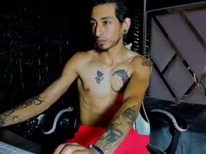 Screenshot from kingartur_rs webcams