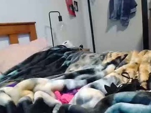 Screenshot from kinkycd0 webcams