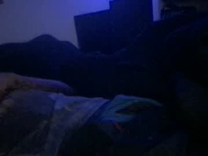 Screenshot from kipgreen webcams
