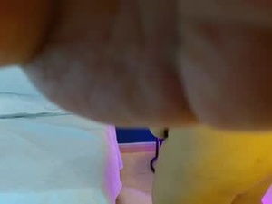 Screenshot from kittendanna webcams