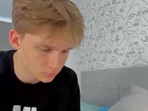 Screenshot from knotsiemens webcams