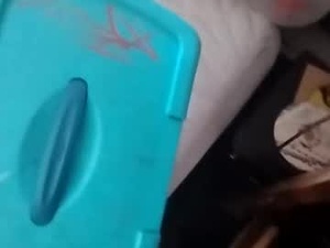 Screenshot from kokpumpluv webcams