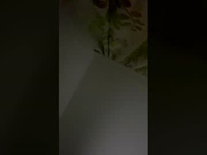 Screenshot from kurt46935 webcams