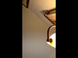 Screenshot from kushixxx69 webcams