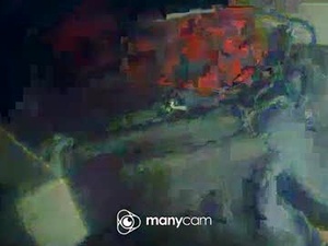 Screenshot from kwwyatmeeiws webcams