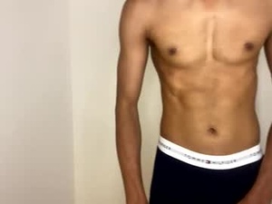 Screenshot from kyleastoria webcams