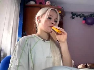 Screenshot from lanitatower webcams