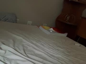 Screenshot from lausfavorite webcams