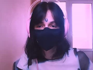 Screenshot from lekkj webcams