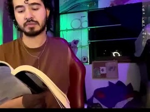 Screenshot from leonel_wargen webcams