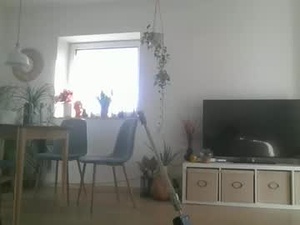 Screenshot from leontorax webcams