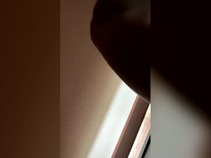 Screenshot from leroypageiii87 webcams