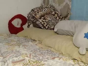 Screenshot from lexi818 webcams