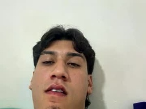 Screenshot from lextasis24 webcams