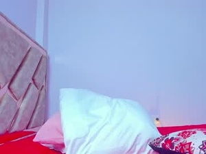 Screenshot from liaagener webcams