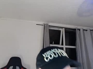 Screenshot from liampaneli webcams