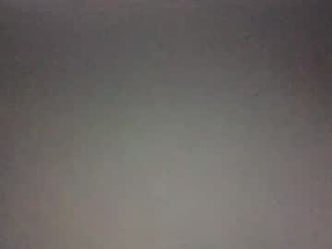 Screenshot from lickyouryoni webcams