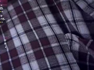 Screenshot from liersery webcams