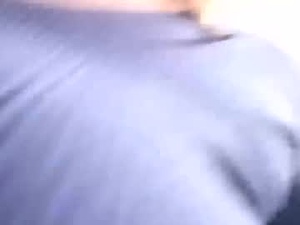 Screenshot from lilpawg webcams