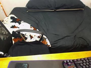 Screenshot from lionn_kingg webcams