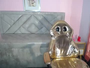 Screenshot from lisa_ch1 webcams