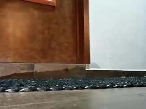 Screenshot from locked_chastity_slut webcams