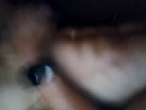 Screenshot from logmog webcams