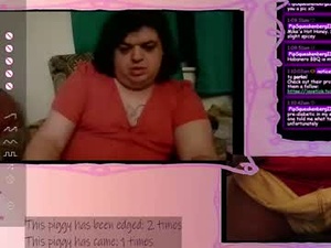 Screenshot from lollipop_swallows webcams