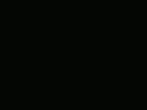 Screenshot from longstokeer webcams