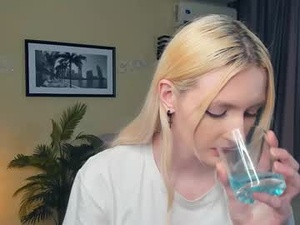 Screenshot from loradimmick webcams