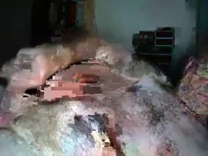 Screenshot from lovethisdick_ webcams
