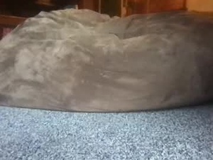 Screenshot from lozivelle webcams