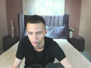 Screenshot from lucaskaur webcams