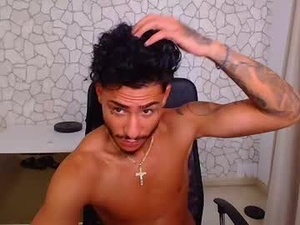 Screenshot from lucawardd webcams