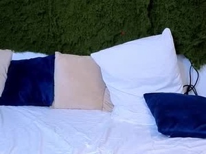 Screenshot from lucidangelok webcams