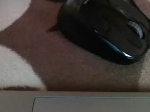 Screenshot from lucky_strike555 webcams