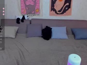 Screenshot from lucysbrain webcams